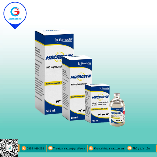 MACROSYN ĐẶC TRỊ BỆNH ĐƯỜNG HÔ HẤP TRÊN HEO, TRÂU BÒ