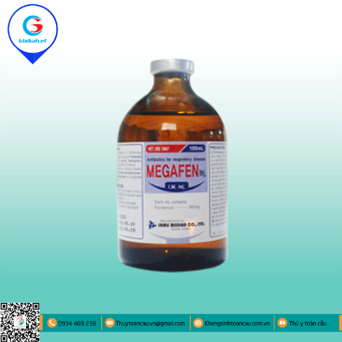 MEGAFEN INJ ĐẶC TRỊ BỆNH HÔ HẤP Ở TRÂU BÒ, HEO
