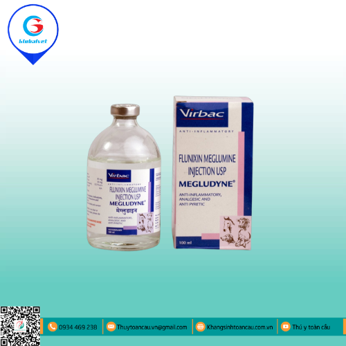 MEGLUDYNE KHÁNG VIÊM- GIẢM ĐAU- HẠ SỐT