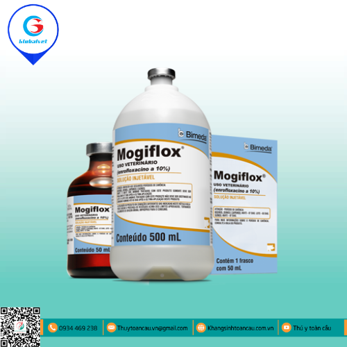 MOGIFLOX ĐẶC TRỊ BỆNH ĐƯỜNG TIÊU HÓA TÊN HEO, GIA SÚC