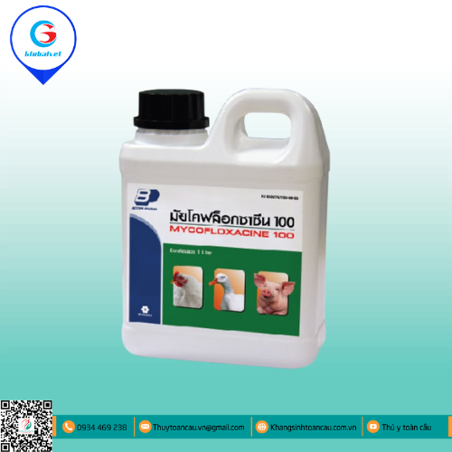 MYCOFLOXACINE 100 ĐẶC TRỊ BỆNH ĐƯỜNG TIÊU HÓA