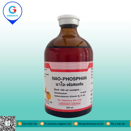 NAO PHOSPHAN KÍCH THÍCH TĂNG TRƯỞNG, TĂNG SỨC ĐỀ KHÁNG