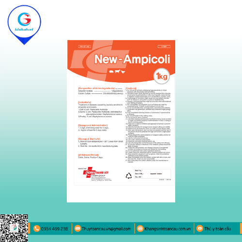 NEW AMPICOLI