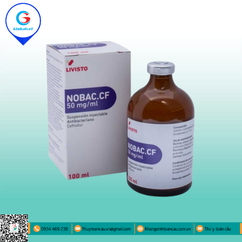 NOBAC. CF
