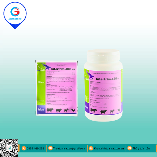NUTRITRIM-480 WS ĐIỀU TRỊ NHIỄM TRÙNG ĐƯỜNG TIÊU HÓA, HÔ HẤP