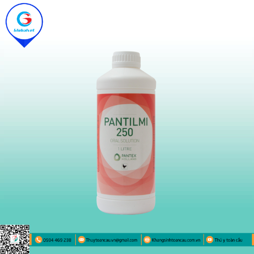 PANTILMI 250 