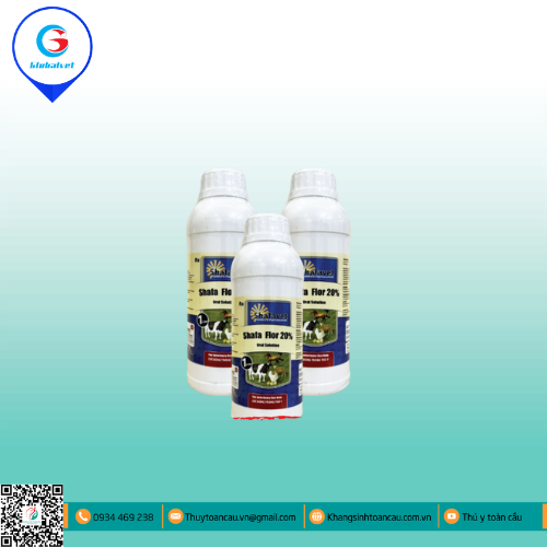 SHAFA FLOR 20%  ĐẶC TRỊ BỆNH ĐƯỜNG HÔ HẤP, TIÊU HÓA TRÊN GIA CẦM