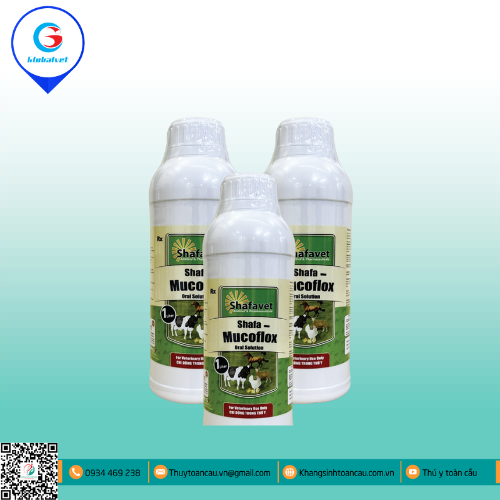 SHAFA-MUCOFLOX  ĐẶC TRỊ BỆNH ĐƯỜNG TIÊU HÓA, HÔ HẤP TRÊN GIA CẦM