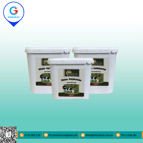 SHAFA-SULPHATRIM ĐIỀU TRỊ NHIỄM TRÙNG ĐƯỜNG TIÊU HÓA, HÔ HẤP