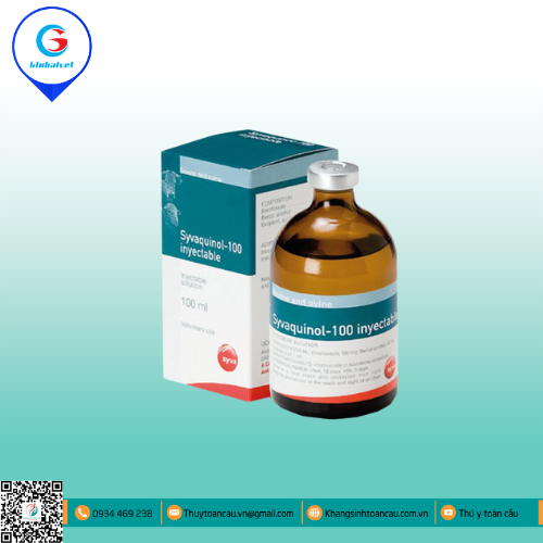 SYVAQUINOL® 100 INJ ĐẶC TRỊ BỆNH ĐƯỜNG TIÊU HÓA TÊN HEO, GIA SÚC