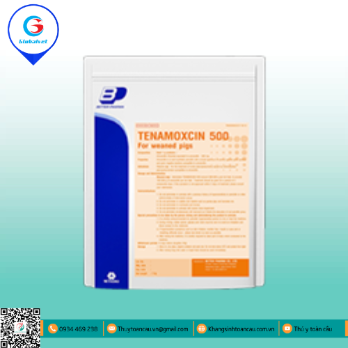 TENAMOXCIN 500 Cho heo cai sữa