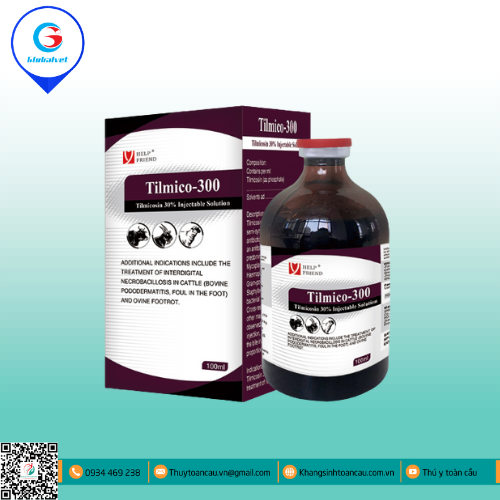 TILMICO 300