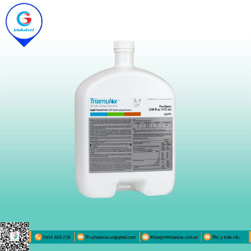 TRIAMULOX ĐẶC TRỊ BỆNH ĐƯỜNG HÔ HẤP TRÊN HEO