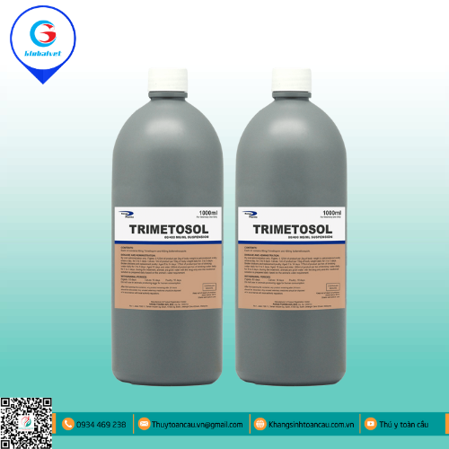 TRIMETOSOL ĐIỀU TRỊ NHIỄM TRÙNG ĐƯỜNG TIÊU HÓA, HÔ HẤP