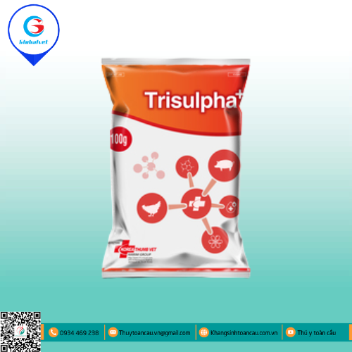 TRISULPHA+ ĐIỀU TRỊ NHIỄM TRÙNG ĐƯỜNG TIÊU HÓA, HÔ HẤP