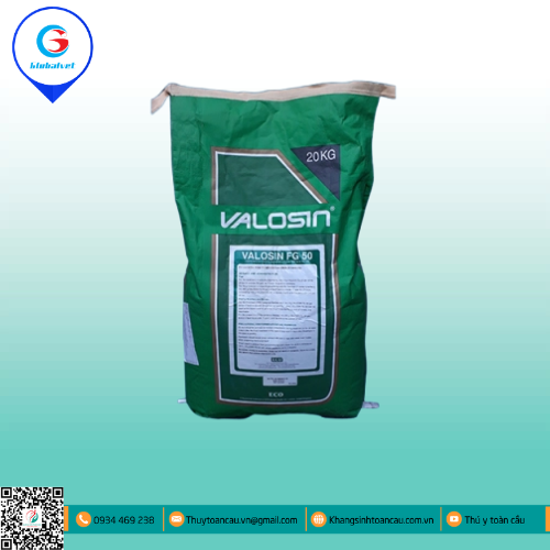 VALOSIN FG 50 ĐẶC TRỊ BỆNH ĐƯỜNG HÔ HẤP