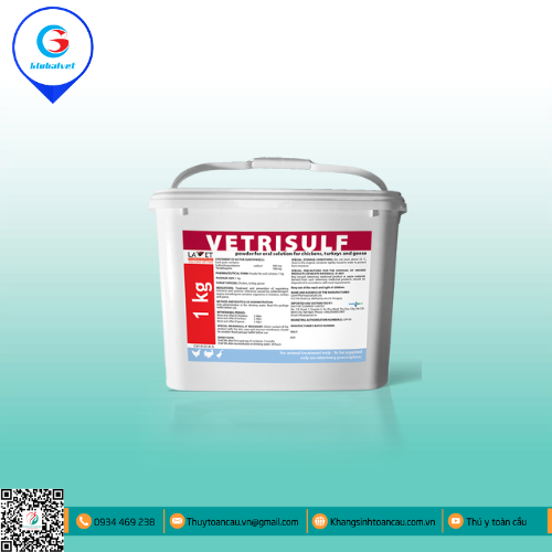 VETRISULF ĐẶC TRỊ NHIỄM TRÙNG ĐƯỜNG HÔ HẤP,  ĐƯỜNG RUỘT