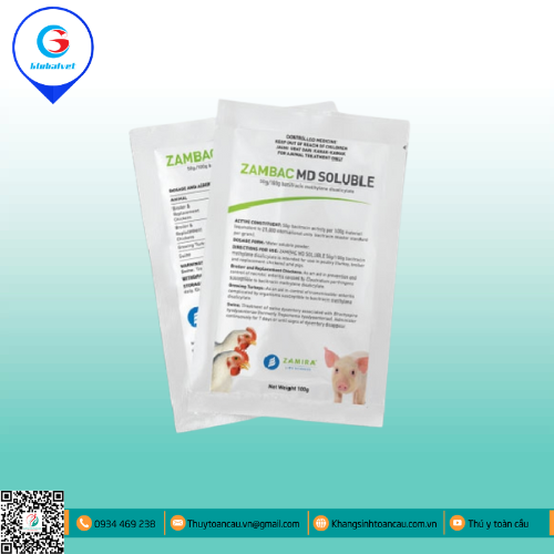 ZAMBAC MD SOLUBLE ĐẶC TRỊ VIÊM RUỘT HOẠI TỬ TRÊN GIA CẦM