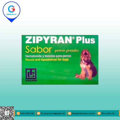 ZIPYRAN XL PLUS TẨY GIUN CHO CHÓ